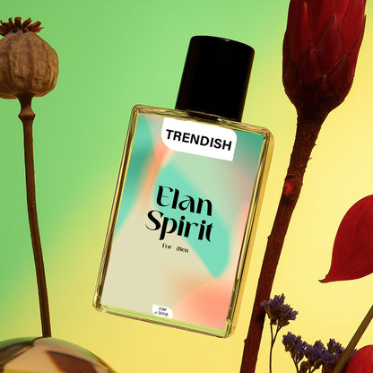 Elan Spirit Inspired By Creed Aventus